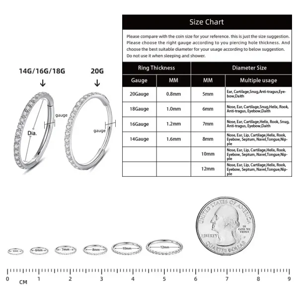 Surgical Steel CZ Rim Hinged Segment Ring - Image 4